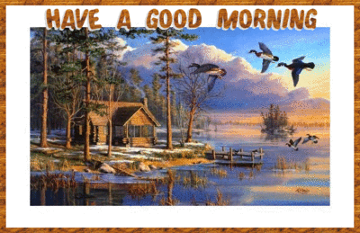 HAVE A GOOD MORNING ðŸŒ¸ðŸƒ