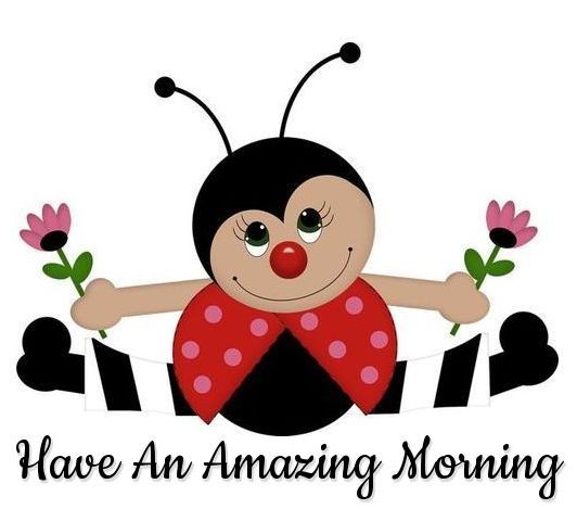 HAVE AN AMAZING MORNING ðŸƒðŸŒ¼
