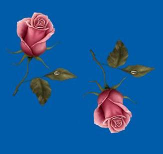rosa