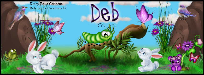Deb -Cute fb cover
