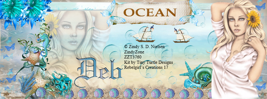 Deb -Ocean fb cover