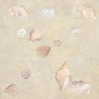 Seashells ~ background (in Backgrounds)