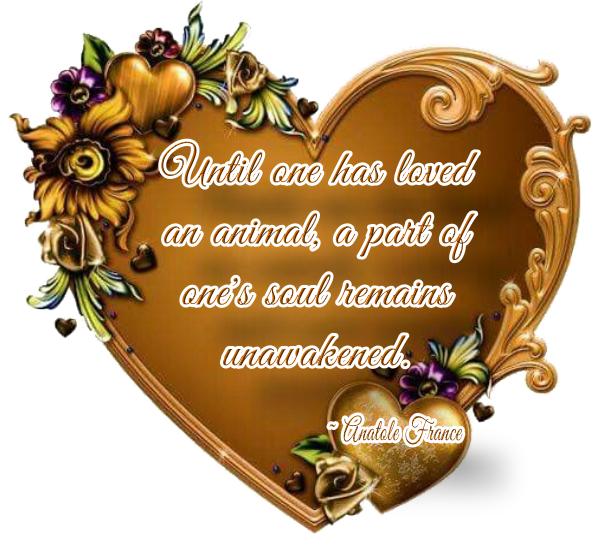 Until one has loved an animal