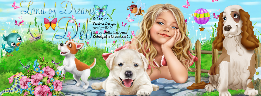 Deb -Land of Dreams fb cover