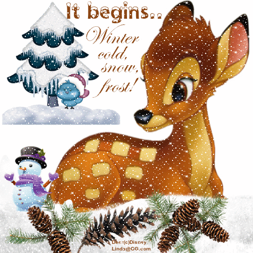 Winter..So it begins