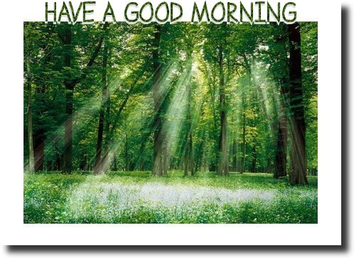 HAVE A GOOD MORNING