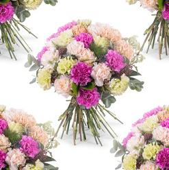 dianthus