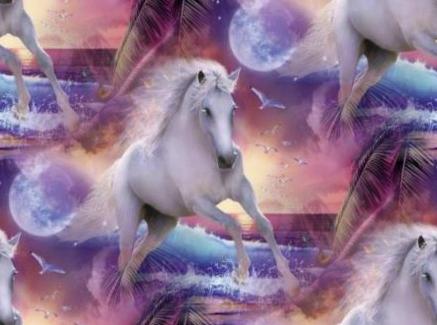 white horse