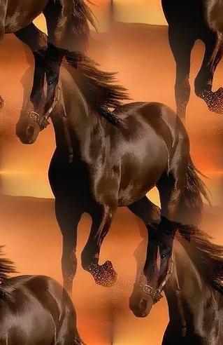 brown horse