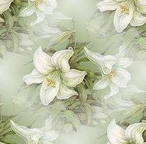 white lilies