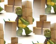 turtle