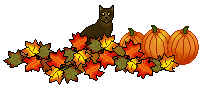 Black cat Halloween