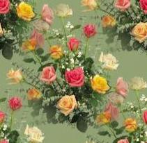 rosa bouquet