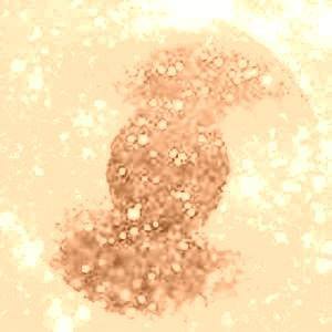 VinylofRoseGold
