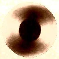 VinylofOpal