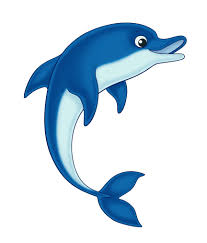 Dolphin