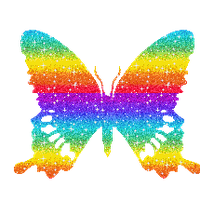 Rainbow  Butterfly
