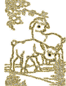 sheeps