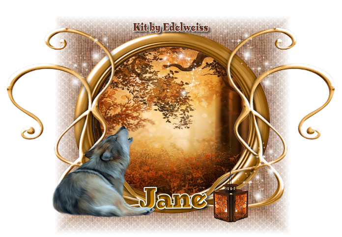 Simple Lone Wolf - Jane