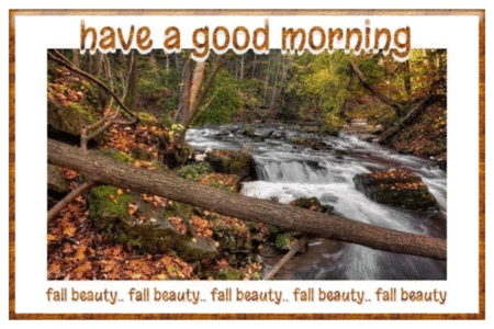 have a good morning (fall beauty)