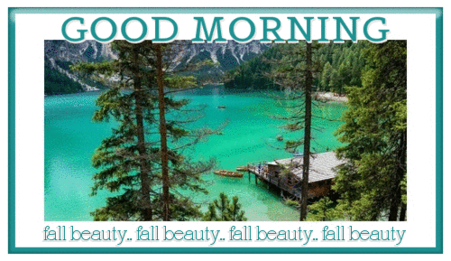 GOOD MORNING (FALL BEAUTY)