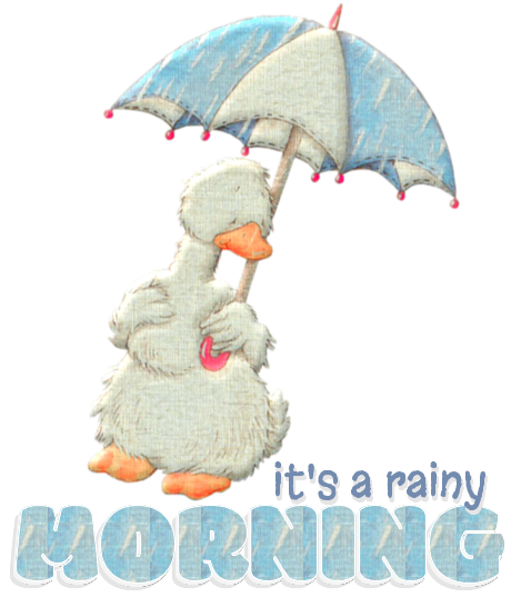 it's a rainy morning
