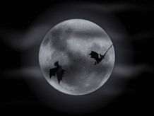 Halloween Bats