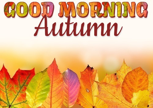 GOOD MORNING AUTUMN