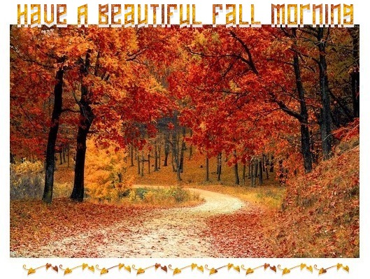 HAVE A LOVELY FALL MORNING