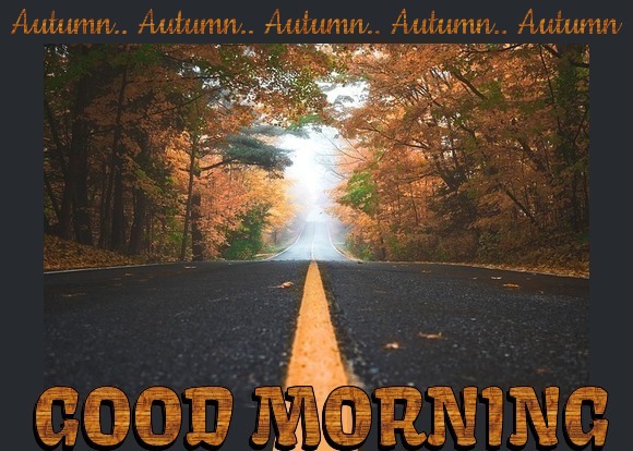 GOOD MORNING (AUTUMN)