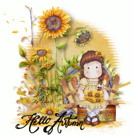 Hello Autumn
