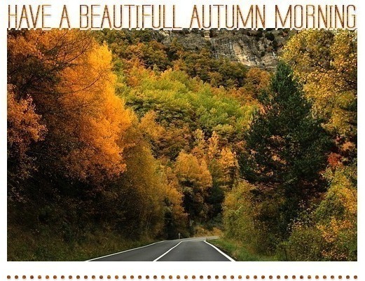 HAVE A BEAUTIFULL AUTUMN MORNING