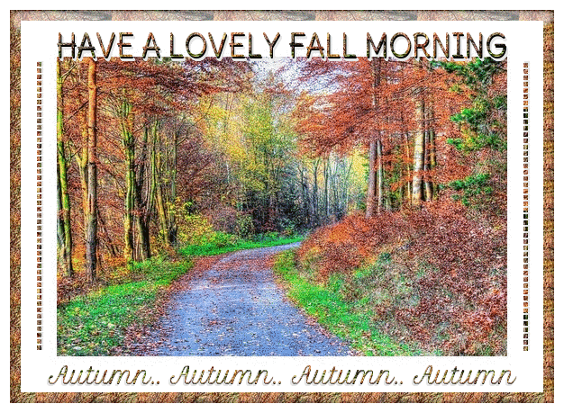HAVE A LOVELY FALL MORNING