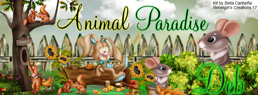 Deb -Animal Paradise fb cover