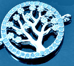AnOliveTreeAqua