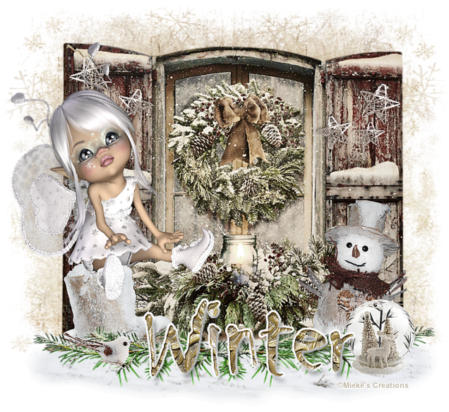 Winter Fairy