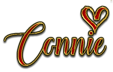 THE HEART OF EVERYTHING CONNIE TEXT