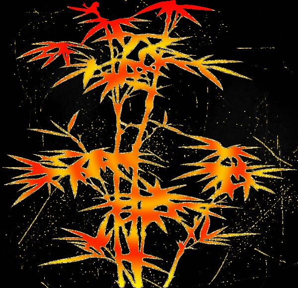 Bamboo