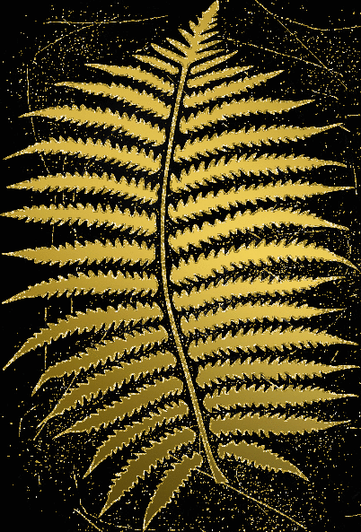 fern gold gold