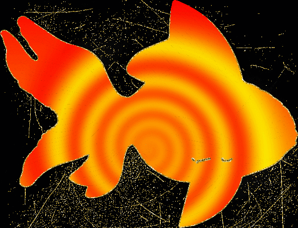 fish sunset gold