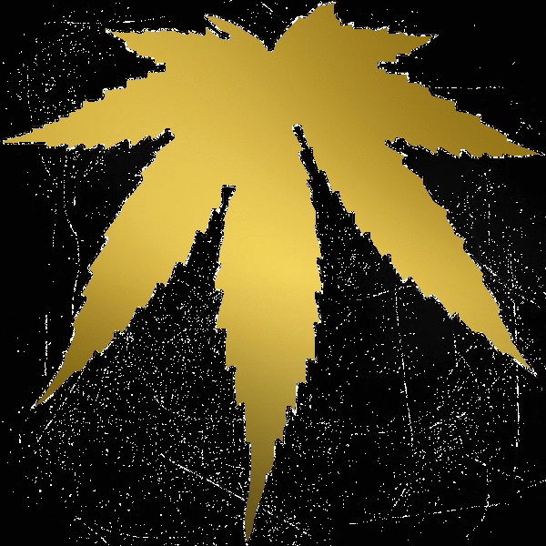 gold weed black