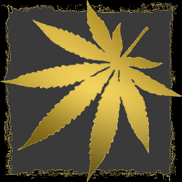 gold weed