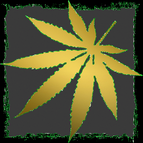 gold weed