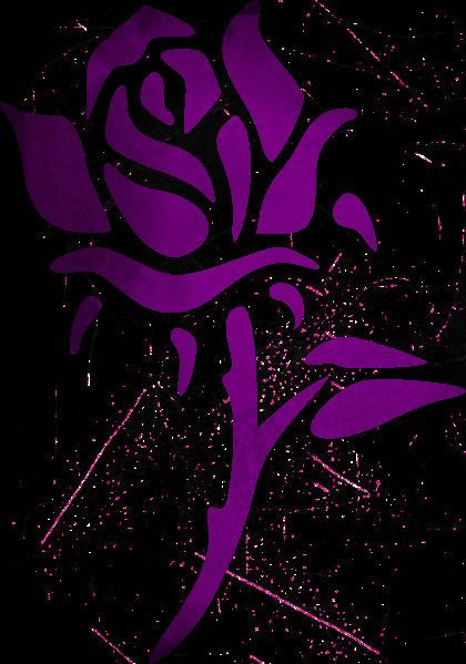 rose dark purple pink