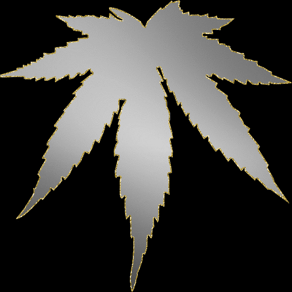 silver weed gold