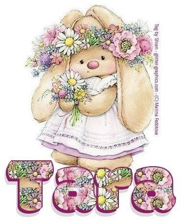 Tara, Bunnies, First Names, Cute