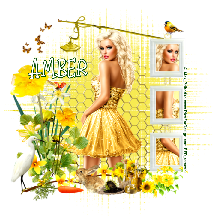 SPRING TIME - AMBER