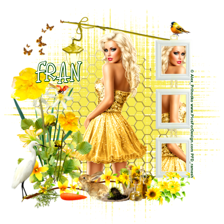 SPRING TIME - FRAN
