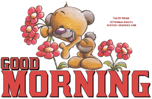 GOOD MORNING, ANIMALS, TEDDY BEARS, CUTE