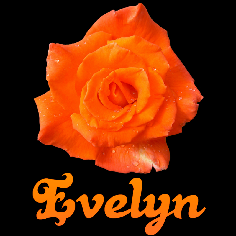 Evelyn